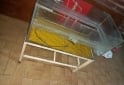Hogar - Pecera+base hierro+aireador - En Venta