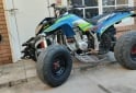 Cuatris y UTVs - Otra marca Dynamic 2008  100Km - En Venta