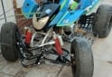 Cuatris y UTVs - Otra marca Dynamic 2008  100Km - En Venta