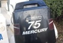 Embarcaciones - VENDO FISHING 4.90 CON MERCURY 75 - En Venta