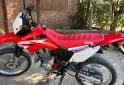 Motos - Honda XR250 TORNADO 2019 Nafta 22800Km - En Venta