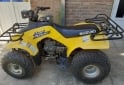 Cuatris y UTVs - Suzuki Quad Runner 160 cc 2001 3000Km - En Venta