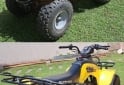 Cuatris y UTVs - Suzuki Quad Runner 160 cc 2001 3000Km - En Venta