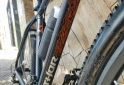 Deportes - Bici Thor Rod 29 Talle L Mejor que nueva Personalizada! - En Venta