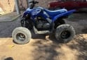 Cuatris y UTVs - Yamaha raptor 90 2019  10000Km - En Venta