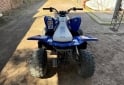 Cuatris y UTVs - Yamaha raptor 90 2019  10000Km - En Venta