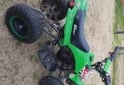 Cuatris y UTVs - Otra marca Gaff 2017  111Km - En Venta