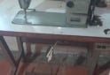 Herramientas - Maquinas de coser industriales - En Venta