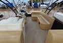 Embarcaciones - Pontoon Drakkar 26 - En Venta