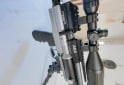 Deportes - Rifle AEA prochallenger 6.35 - En Venta