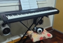 Instrumentos Musicales - Piano teclado WURZWEIL  120 - En Venta