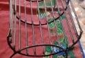Hogar - Parrillas y palitas para el asador - En Venta