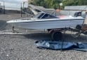 Embarcaciones - FISHING 430 - POWER TEC 40 HP 2T - TODO AL DIA, TRANFERENCIA INCLUIDA. - En Venta