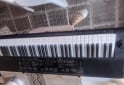 Instrumentos Musicales - �rgano Casio CTK-3200 - En Venta