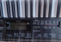 Instrumentos Musicales - �rgano Casio CTK-3200 - En Venta