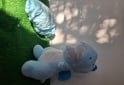Otros - Peluches con manta - En Venta