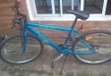 Deportes - bici mountain bike rodado 26 marca Blue Bird - En Venta