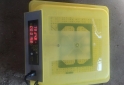 Otros - Incubadora de 48 huevos - En Venta