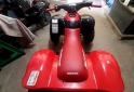 Cuatris y UTVs - Honda Trx300 1998  2100Km - En Venta
