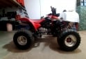 Cuatris y UTVs - Honda Trx300 1998  2100Km - En Venta