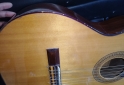Instrumentos Musicales - Guitarra Criolla - En Venta
