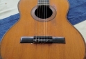 Instrumentos Musicales - Guitarra Antigua Casa Núñez - En Venta