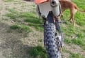 Motos - Ktm EXC 250 2014 Nafta 118Km - En Venta