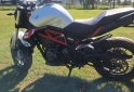 Motos - Benelli 2024 2024 Nafta 3400Km - En Venta