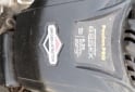 Herramientas - cortadora de pasto - En Venta