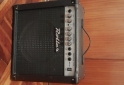 Instrumentos Musicales - Ampli Roller RG-25 - En Venta