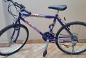 Deportes - Bicicleta rodado 24 sin uso - En Venta