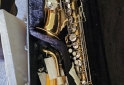 Instrumentos Musicales - SAXOF�N - En Venta