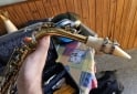 Instrumentos Musicales - SAXOF�N - En Venta