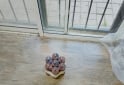 Hogar - Vendo colch�n Sprinwall Nix y Base de madera - En Venta