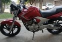 Motos - Yamaha Ybr250 2008 Nafta 111111Km - En Venta