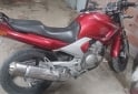 Motos - Yamaha Ybr250 2008 Nafta 111111Km - En Venta