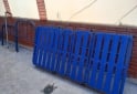 Hogar - Cama   ortop�dicas - En Venta