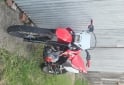 Motos - Honda Xr 250 tornado 2019 Nafta 11000Km - En Venta