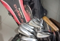 Deportes - Palos de golf m�s carro el�ctrico - En Venta