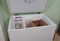 Hogar - Freezer inelro 235 Lts - En Venta