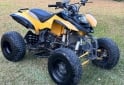Cuatris y UTVs - Panther Wr 250 2012  1Km - En Venta