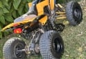 Cuatris y UTVs - Panther Wr 250 2012  1Km - En Venta