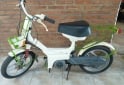 Motos - Zanella Pocket 1989 Nafta 1Km - En Venta