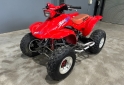 Cuatris y UTVs - Honda FOURTRAX 300 EX 1996  111111Km - En Venta