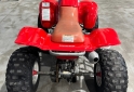 Cuatris y UTVs - Honda FOURTRAX 300 EX 1996  111111Km - En Venta