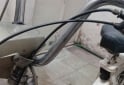 Motos - Piaggio CIAO 1983 Nafta 111Km - En Venta