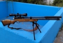 Deportes - Foster F 180 .25 - En Venta