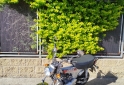 Motos - Mondial DAX 70CC 2026 Nafta 722Km - En Venta
