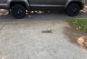 Camionetas - Volkswagen Amarok Confortline V6 2021 Diesel 74000Km - En Venta