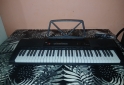 Instrumentos Musicales - TECLADO - En Venta